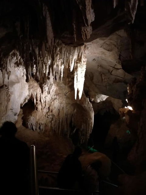 Jenolan Caves And Blue Mountains Tour From Sydney - Accommodation Rockhampton 10