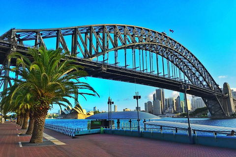 Half Day In Sydney With A Local: Private & Personalized - Accommodation Rockhampton 10