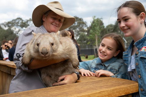 Full Day Sydney Tour With Opera House And The Rocks Tour - Accommodation Rockhampton 28