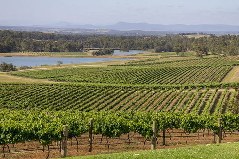 Hunter Valley Wine Tour From Sydney With Lunch And 3 Cellar Door Tastings - Accommodation Rockhampton 1