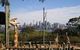 Sydney Taronga Zoo\'s Australian Animals Tour - thumb 0