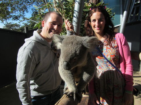 Sydney Taronga Zoo\'s Australian Animals Tour - Accommodation Rockhampton 7