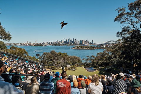 Sydney Taronga Zoo\'s Australian Animals Tour - Accommodation Rockhampton 10