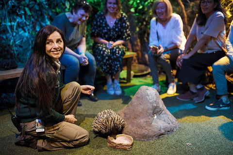 Sydney Taronga Zoo\'s Australian Animals Tour - Accommodation Rockhampton 12