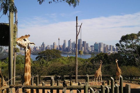Sydney Taronga Zoo\'s Australian Animals Tour - Accommodation Rockhampton 8