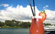 Sydney Harbour Top Deck Lunch Cruise - thumb 25