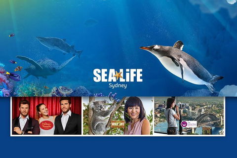 Sydney Attractions Pass: SEA LIFE Aquarium, Sydney Tower Eye, WILD LIFE Zoo And Madame Tussauds - Accommodation Rockhampton 0