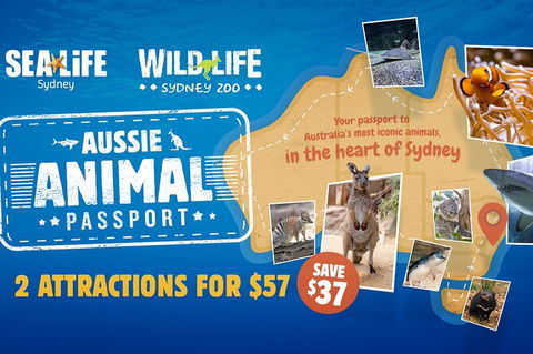 Sydney Attractions Pass: SEA LIFE Aquarium, Sydney Tower Eye, WILD LIFE Zoo And Madame Tussauds - Accommodation Rockhampton 4