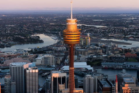 Sydney Attractions Pass: SEA LIFE Aquarium, Sydney Tower Eye, WILD LIFE Zoo And Madame Tussauds - Accommodation Rockhampton 8