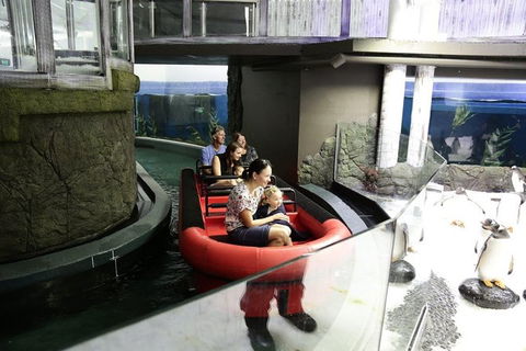 Sydney Attractions Pass: SEA LIFE Aquarium, Sydney Tower Eye, WILD LIFE Zoo And Madame Tussauds - Accommodation Rockhampton 6