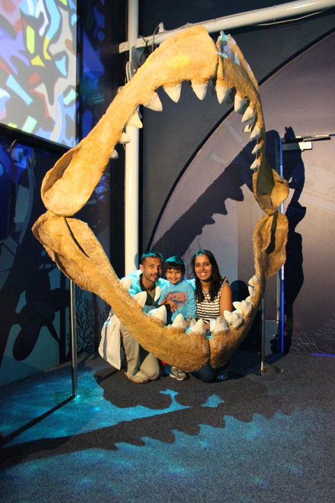 SEA LIFE Sydney Aquarium Entrance Ticket - Accommodation Rockhampton 6