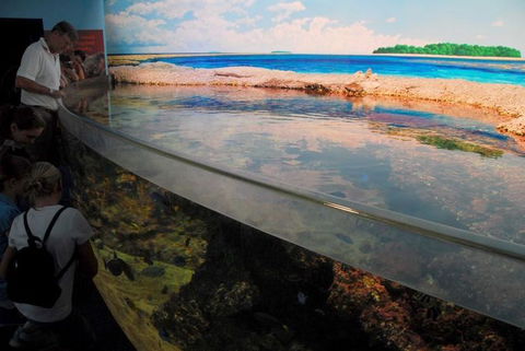 SEA LIFE Sydney Aquarium Entrance Ticket - Accommodation Rockhampton 24
