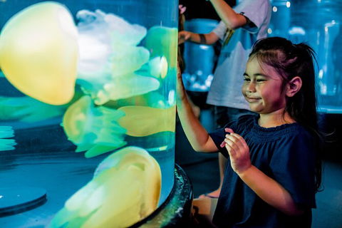 SEA LIFE Sydney Aquarium Entrance Ticket - Accommodation Rockhampton 26