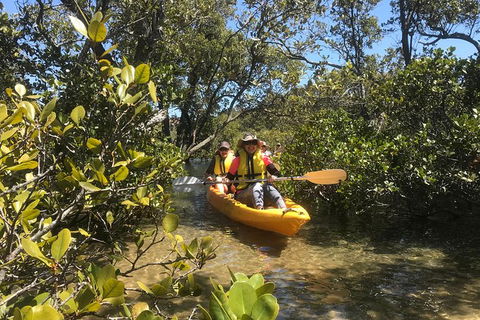 Paddle In Paradise - 4 Hours Double Kayak Hire - Accommodation Rockhampton 1
