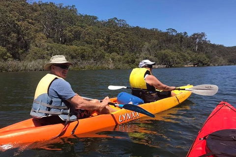 Paddle In Paradise - 4 Hours Double Kayak Hire - Accommodation Rockhampton 4