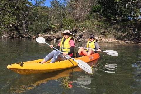 Paddle In Paradise - 4 Hours Double Kayak Hire - Accommodation Rockhampton 6