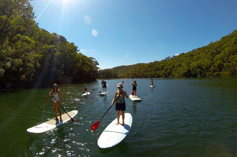 Basin Stand Up Paddle Boarding (SUP) Safari - Accommodation Rockhampton 0