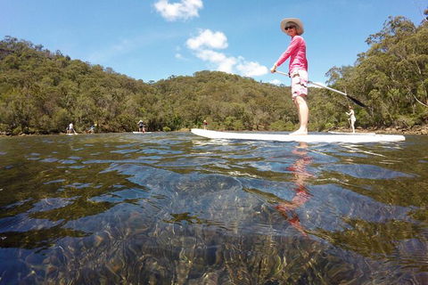 Basin Stand Up Paddle Boarding (SUP) Safari - Accommodation Rockhampton 3