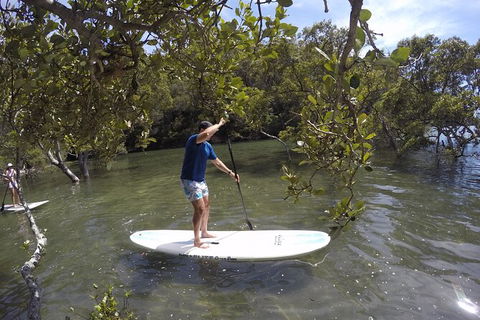 Basin Stand Up Paddle Boarding (SUP) Safari - Accommodation Rockhampton 2