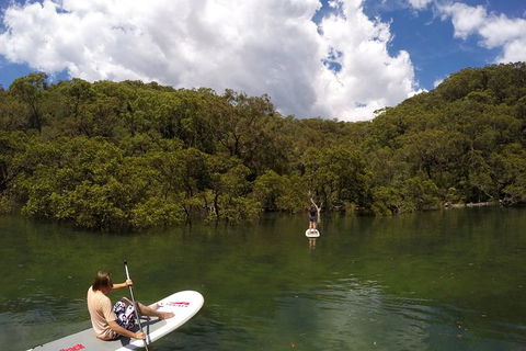 Basin Stand Up Paddle Boarding (SUP) Safari - Accommodation Rockhampton 7