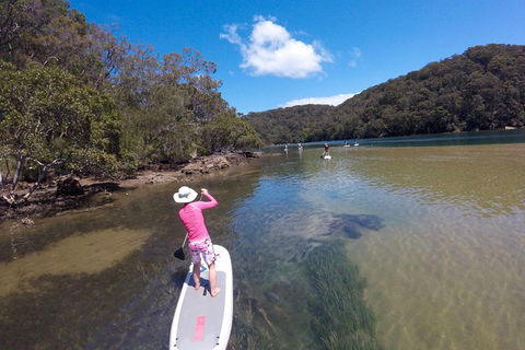 Basin Stand Up Paddle Boarding (SUP) Safari - Accommodation Rockhampton 5
