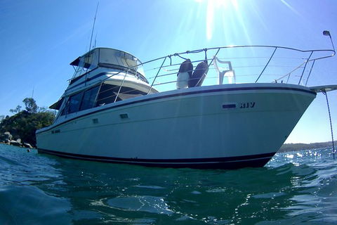Boat Hire Sydney Harbour - Accommodation Rockhampton 3