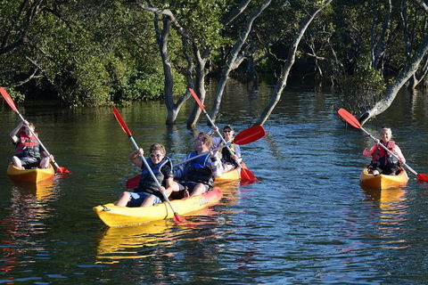 Kayak And SUP Guided Tours - Accommodation Rockhampton 0