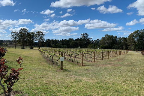 Private Day Trip To Hunter Valley From Sydney With Pickup - Accommodation Rockhampton 13