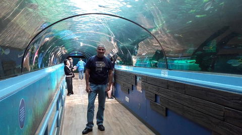 Sydney Pass: SEA LIFE Aquarium, Sydney Tower Eye, WILD LIFE Sydney, Sydney Harbour Cruise, And Madame Tussauds - Accommodation Rockhampton 5