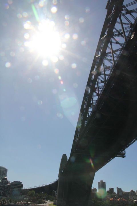 Sydney Pass: SEA LIFE Aquarium, Sydney Tower Eye, WILD LIFE Sydney, Sydney Harbour Cruise, And Madame Tussauds - Accommodation Rockhampton 20
