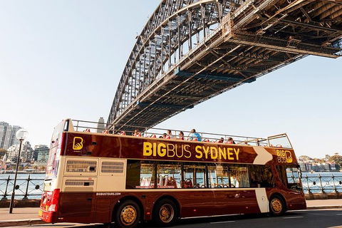 Sydney Shore Excursion: Big Bus Sydney And Bondi Hop-On Hop-Off Tour - Accommodation Rockhampton 12