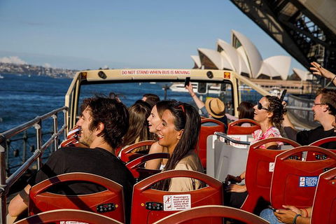 Sydney Shore Excursion: Big Bus Sydney And Bondi Hop-On Hop-Off Tour - Accommodation Rockhampton 2