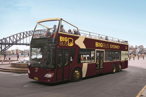 Sydney Shore Excursion: Big Bus Sydney And Bondi Hop-On Hop-Off Tour - Accommodation Rockhampton 13
