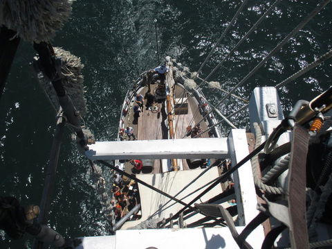 Sydney Harbour Tall Ship Lunch Cruise - Accommodation Rockhampton 4