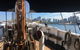 Convicts & Castles: Goat Island Walking Tour Including Sydney Harbour Cruise - thumb 15