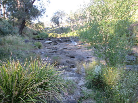 Wild Australian Wildlife 4WD Tour From Sydney - Accommodation Rockhampton 22