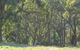 Wild Australian Wildlife 4WD Tour From Sydney - thumb 25