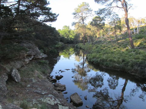 Wild Australian Wildlife 4WD Tour From Sydney - Accommodation Rockhampton 21