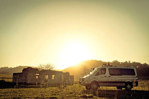 Wild Australian Wildlife 4WD Tour From Sydney - Accommodation Rockhampton 0