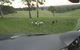 Wild Australian Wildlife 4WD Tour From Sydney - thumb 16