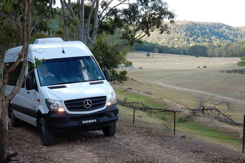 Wild Australian Wildlife 4WD Tour From Sydney - Accommodation Rockhampton 29