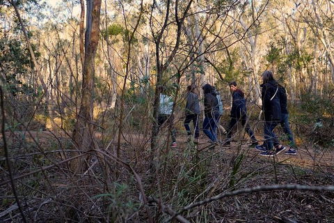 Wild Australian Wildlife 4WD Tour From Sydney - Accommodation Rockhampton 31