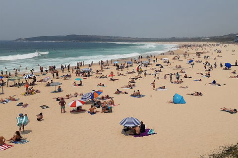 Experience The Real Sydney With Our Signature Tour - Accommodation Rockhampton 7