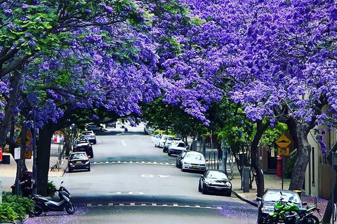 Story Of Sydney Tour - Accommodation Rockhampton 9