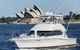 Small-Group Luxury Sydney Whale Watching Cruise - thumb 1