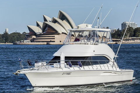 Small-Group Luxury Sydney Whale Watching Cruise - Accommodation Rockhampton 1