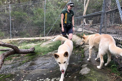 Visit Walkabout Wildlife Sanctuary - Accommodation Rockhampton 8