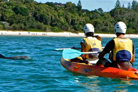 Byron Bay Kayaking With Dolphins And Mount Warning Sunrise Climb Including Overnight Camping And BBQ Dinner - Accommodation Rockhampton 9