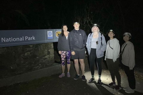 Byron Bay Kayaking With Dolphins And Mount Warning Sunrise Climb Including Overnight Camping And BBQ Dinner - Accommodation Rockhampton 2