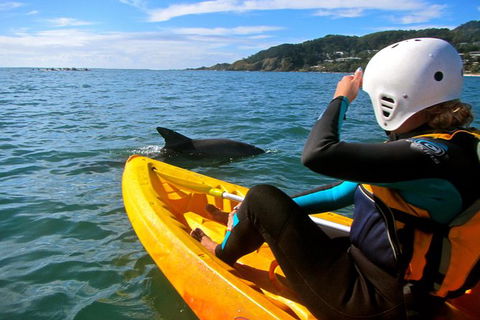 Byron Bay Kayaking With Dolphins And Mount Warning Sunrise Climb Including Overnight Camping And BBQ Dinner - Accommodation Rockhampton 7